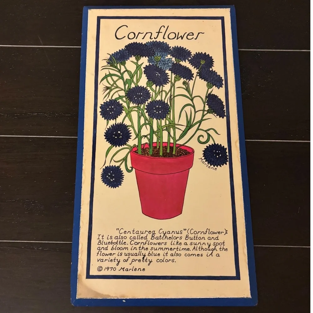 Vintage 1970 Marlene Jalem Plaque Co | Potted Flower Series 3pc Set | Beveled